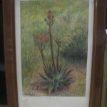 484 5569 Pastell